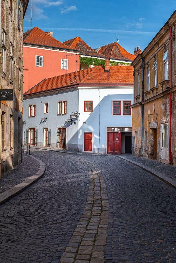 Penzion Maxwilliam Znojmo Exterior photo
